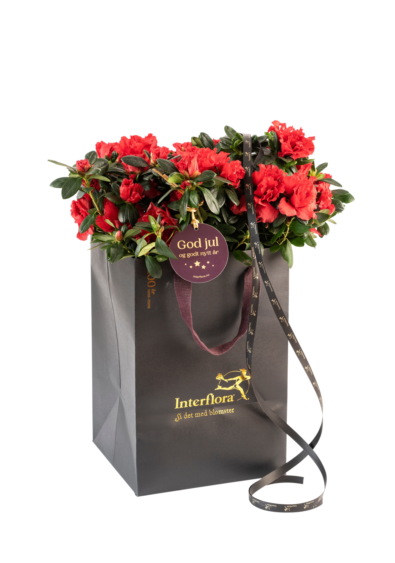 фото букета