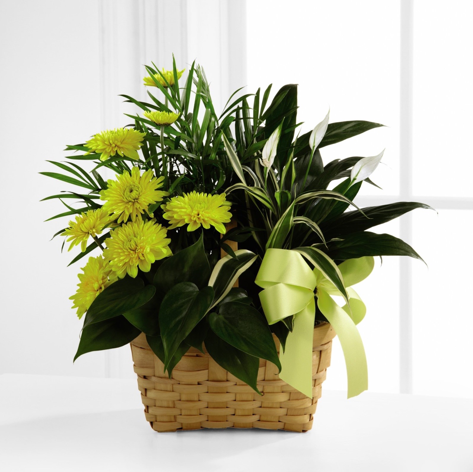 фото букета