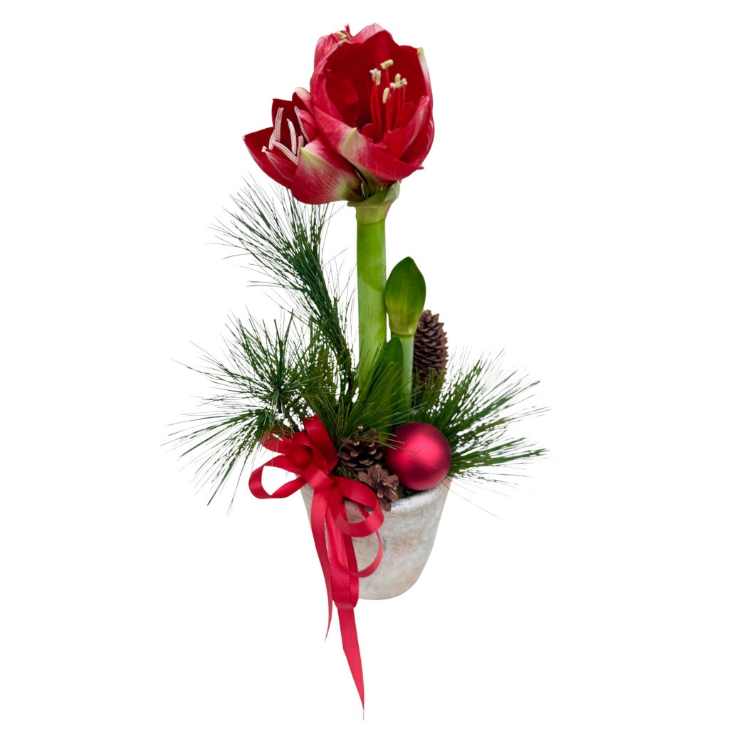 фото букета