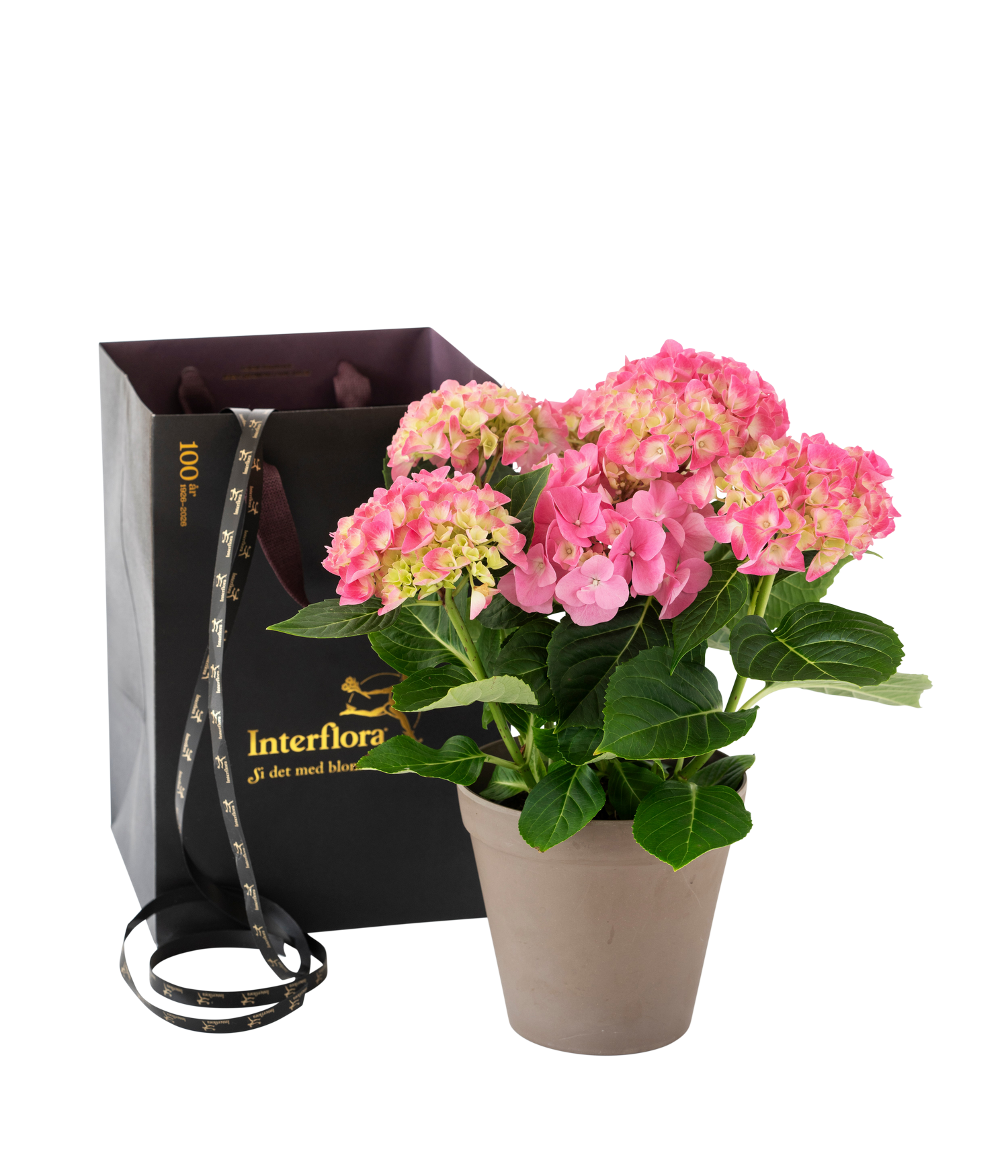 фото букета