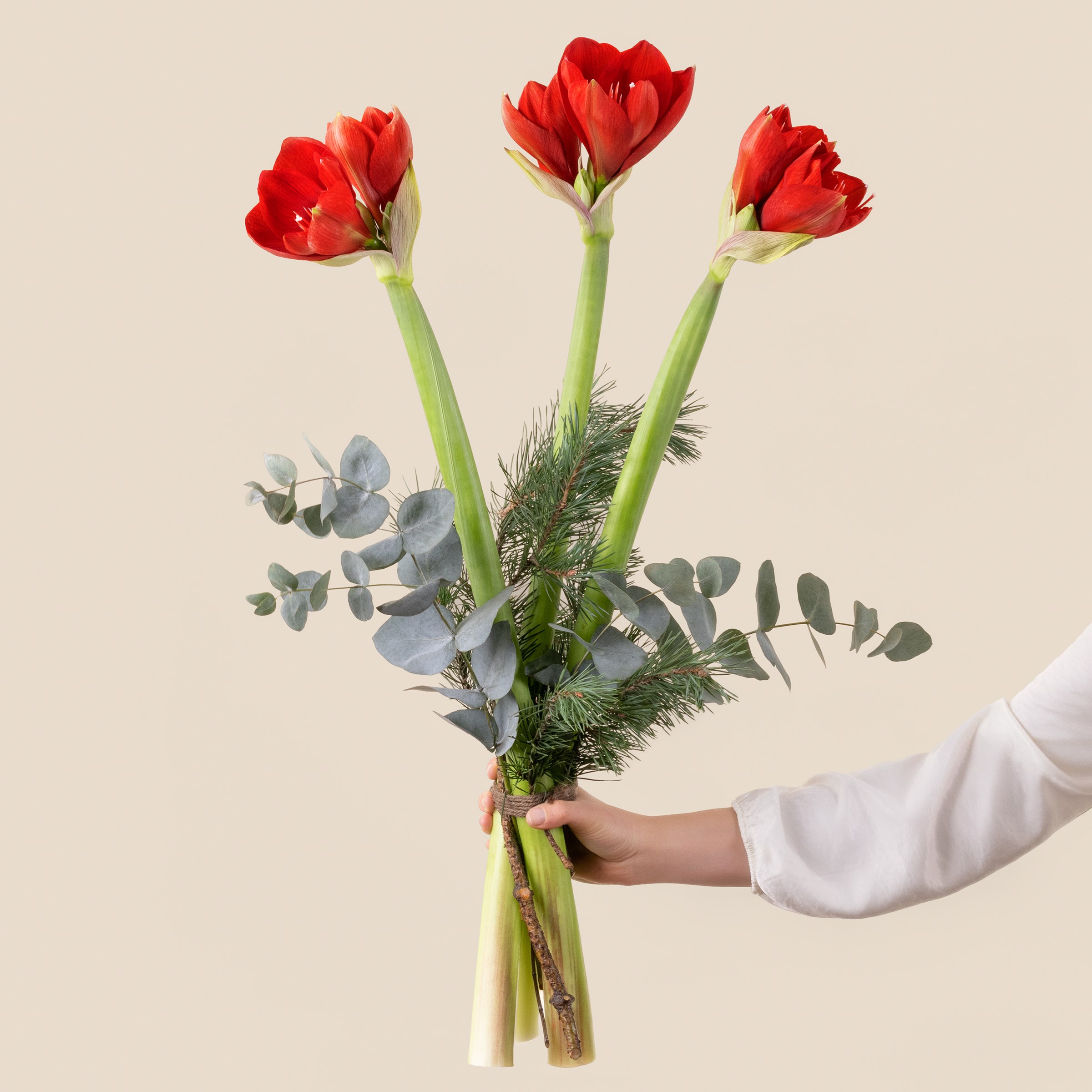 фото букета