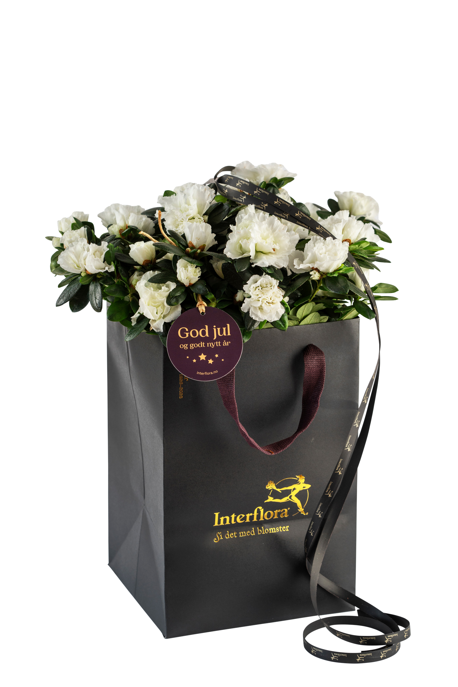 фото букета