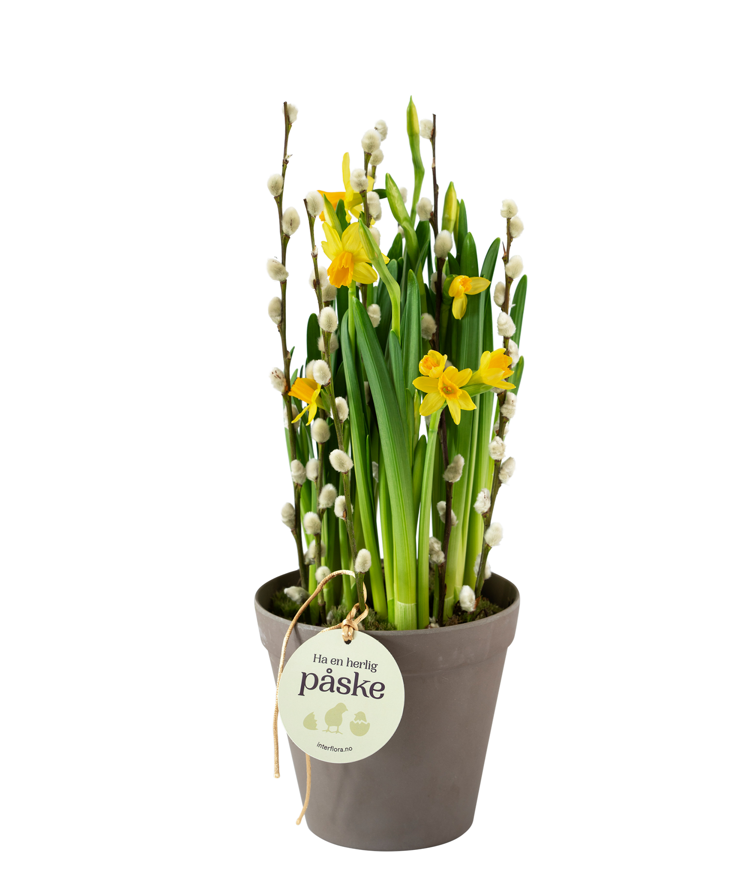 фото букета