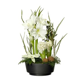 Winter Amaryllis Ornament