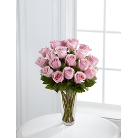 Pink Rose