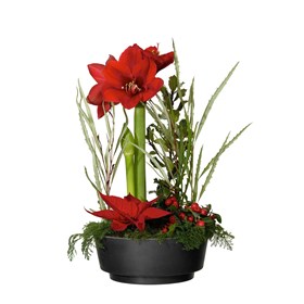 Christmas Amaryllis Ornament
