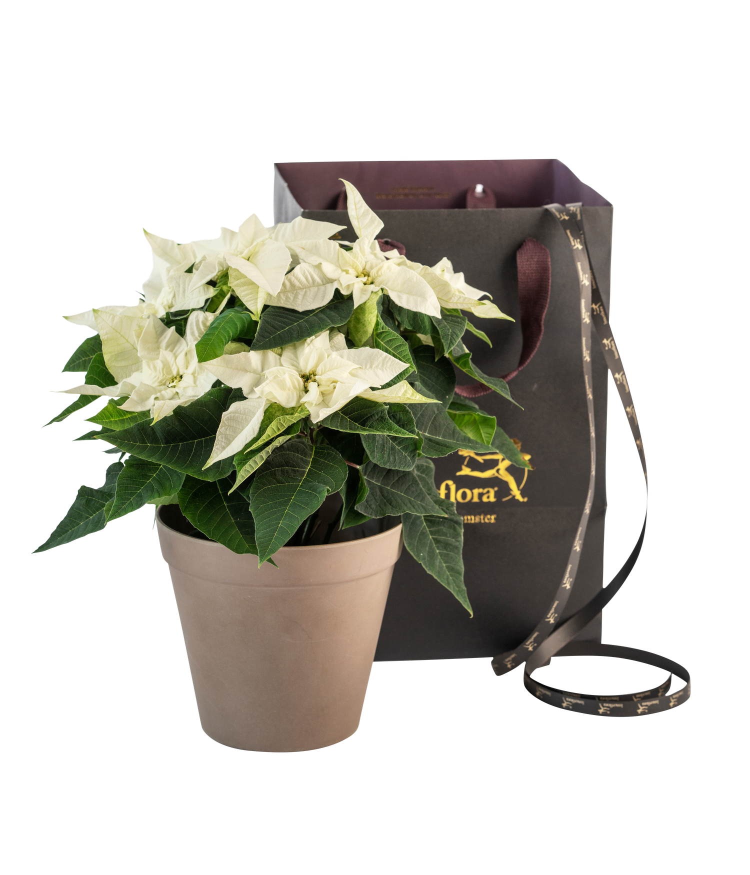 фото букета