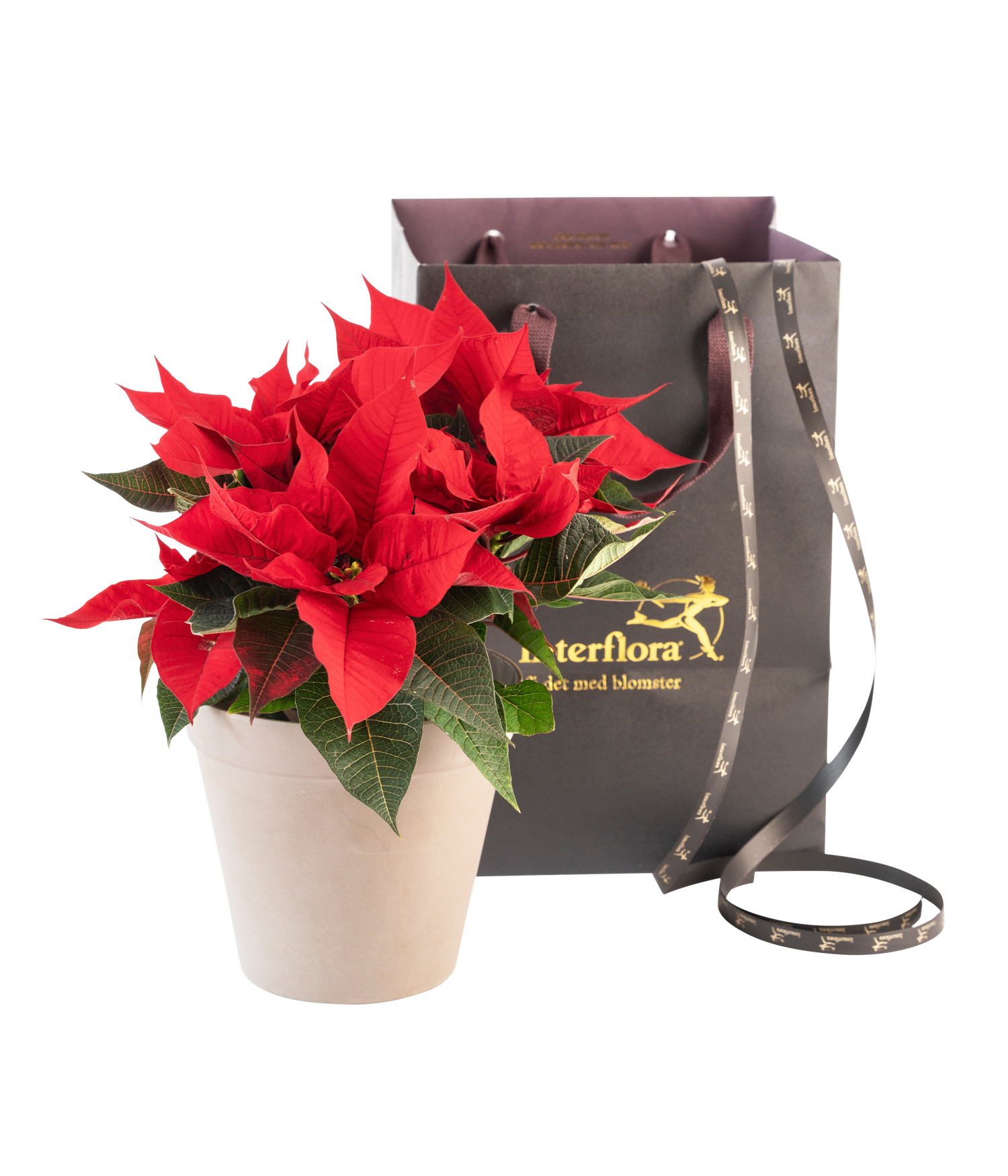 фото букета