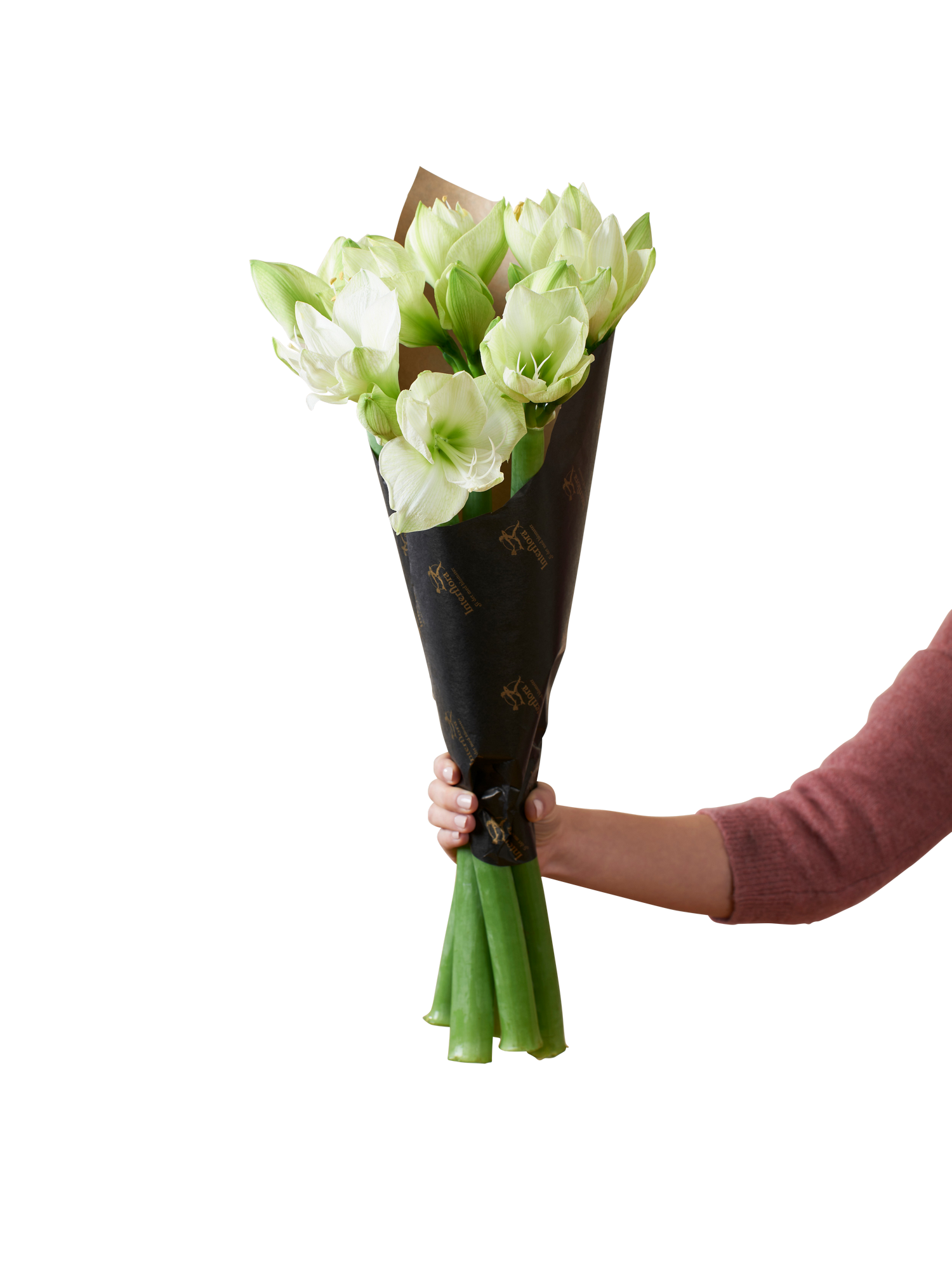 фото букета