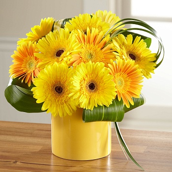 Sunny Surprise Arrangement