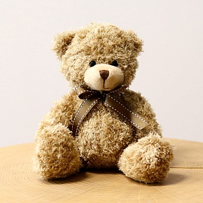 Ourson