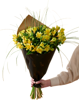 Gorgeous Yellow Alstromeria 240137