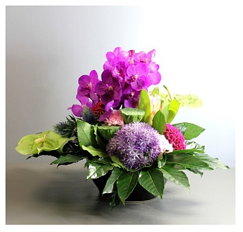 Arrangement of Cut Flowers pink mixed