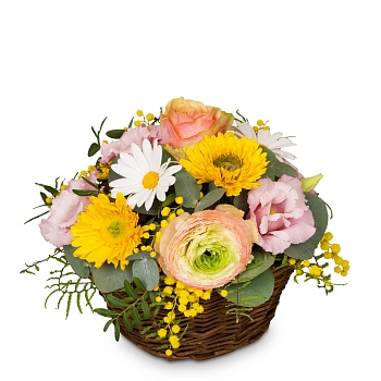 Cutflower Arrangement Cheerful Spring Meadow