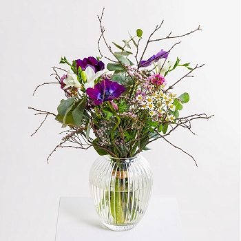 First Morning of Spring