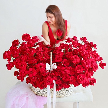 Love Majesty - 250 Roses