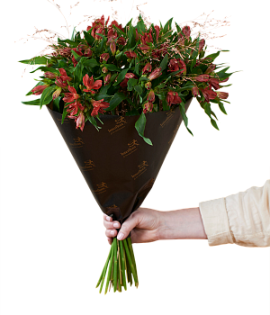 Amazing Alstromeria Red 240530