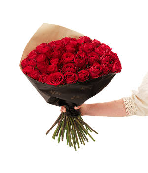 Red roses 50 242686