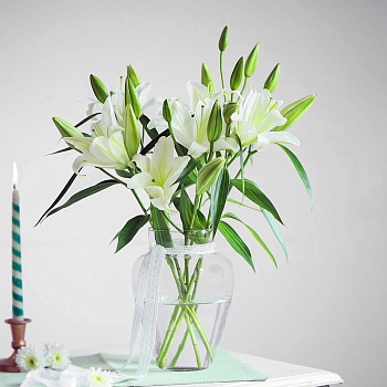 Vanilla Lily Dream
