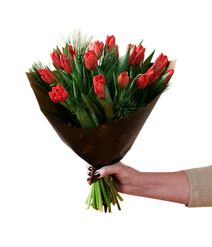 Christmas Tulips Red 240515