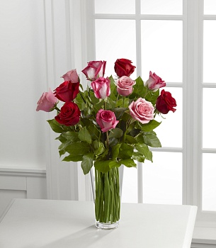 True Romance Rose