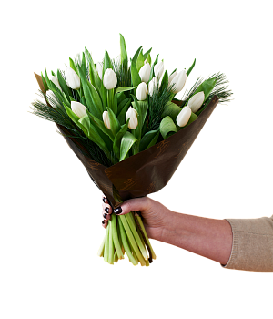 White Tulips Christmas 240518