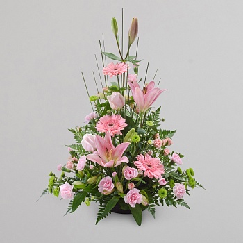 Pink Sympathy