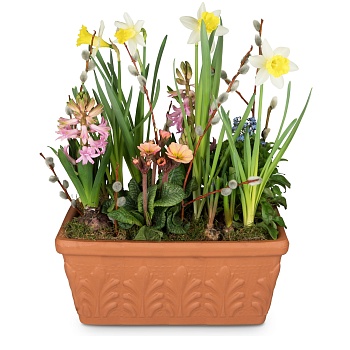 Plant Pot Cheerful Little Spring Garden