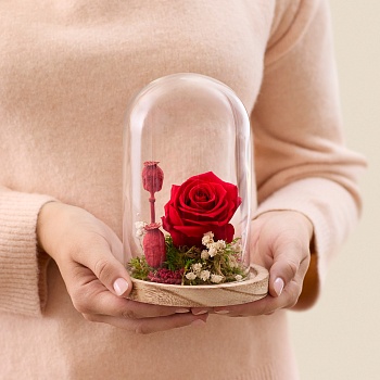 Eternal love - Amour eternel