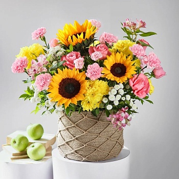 A Warm Bloomscape