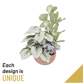 Planted Bowl-Arrangement
