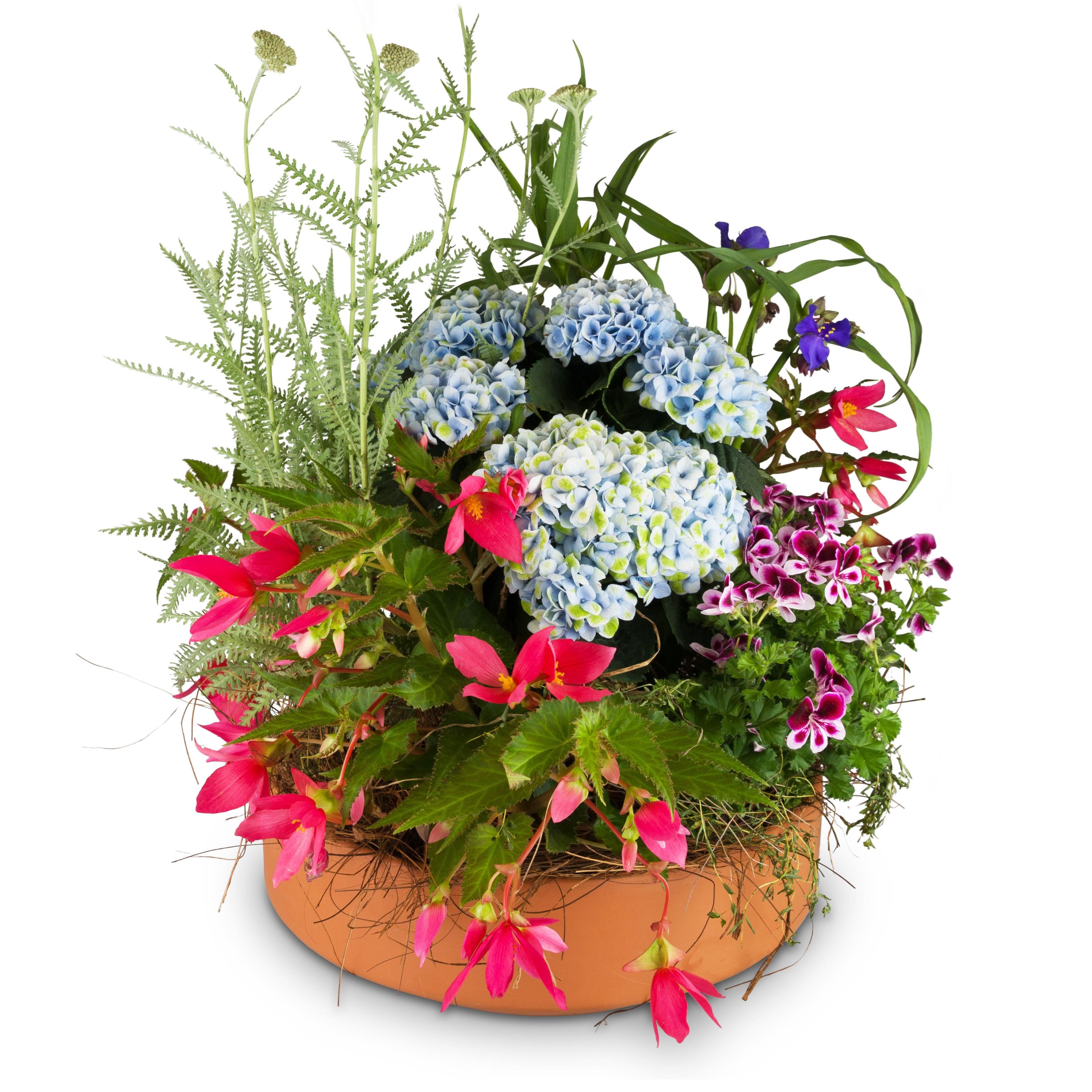 фото букета