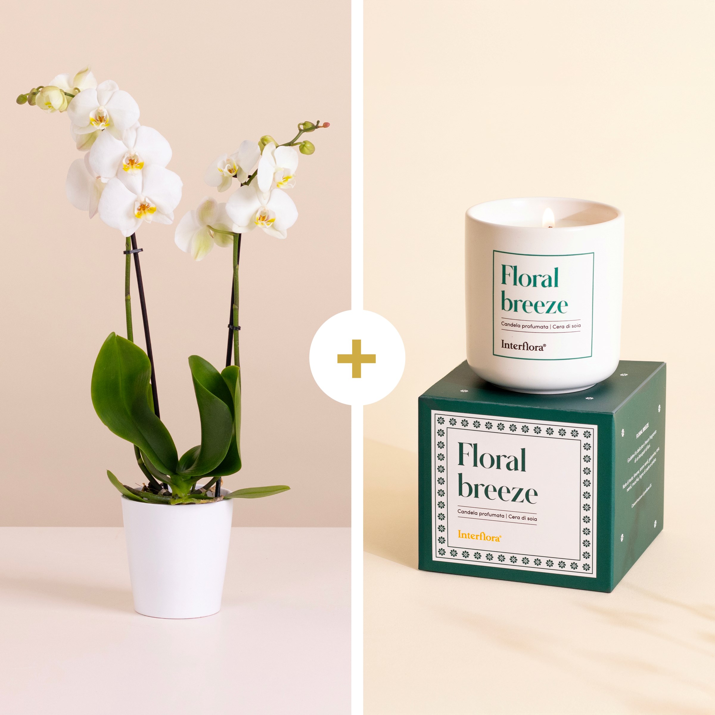 фото букета