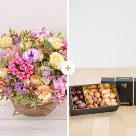 Zeste tendre et chocolats - Pastel bloom and chocolates