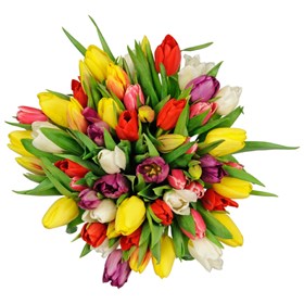 Tulips Florist Choice Bouquet