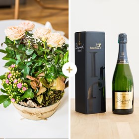 Coin de paradis et champagne - Paradise and champagne