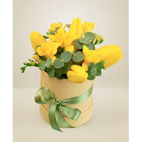 Sunny spring