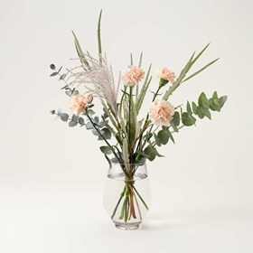 Dreamy Carnation