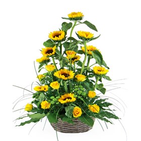 Summer gift