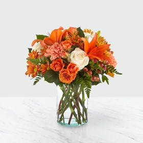 Orange Mood