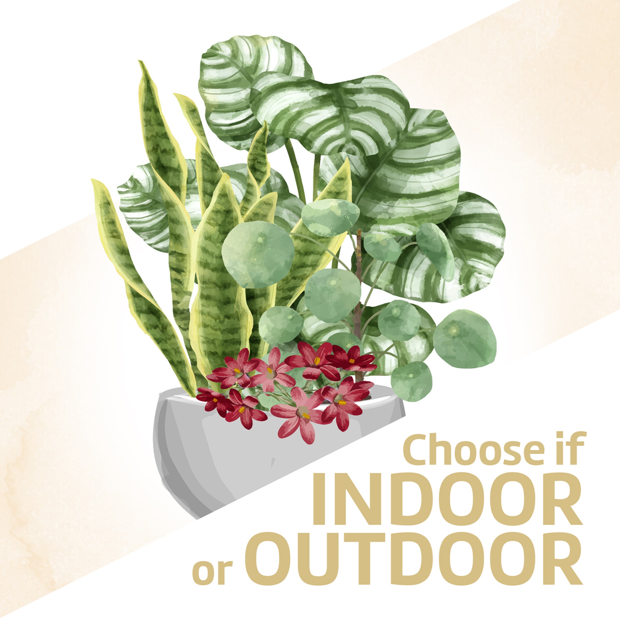 фото букета