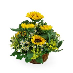 Summer Basket