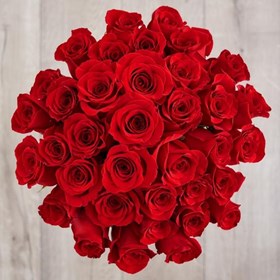 36 Red Roses Bunch