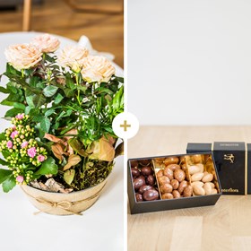 Coin de paradis et chocolats - Paradise and chocolates
