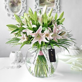 Pink Lily Love