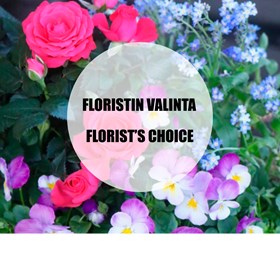 Florist's choice Mother's Day planting