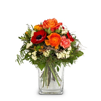 Spring Surprise