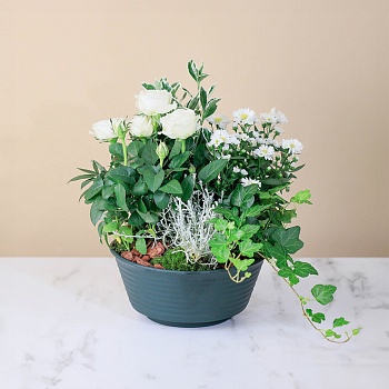 Candid Rest