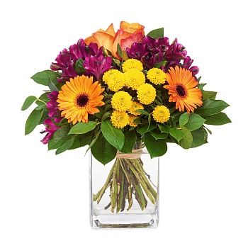 Messengers of optimism