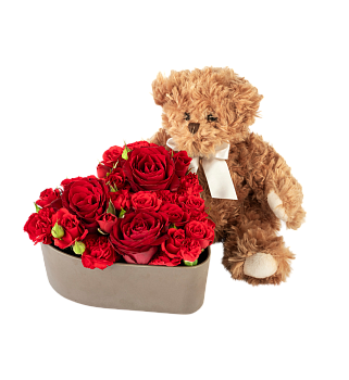 Hugs from Teddy Red 242665